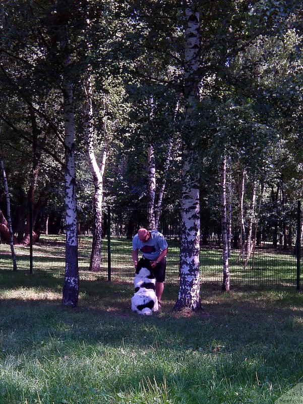 Фотография № 158730