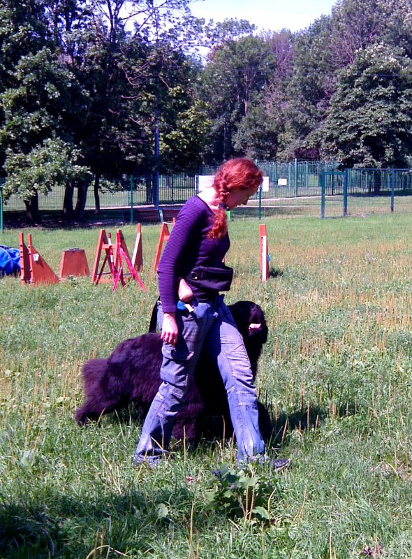 Фотография № 158731