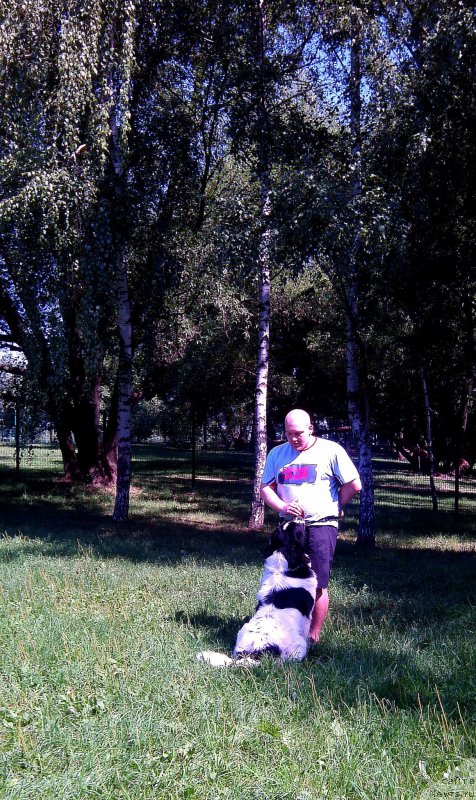 Фотография № 158733