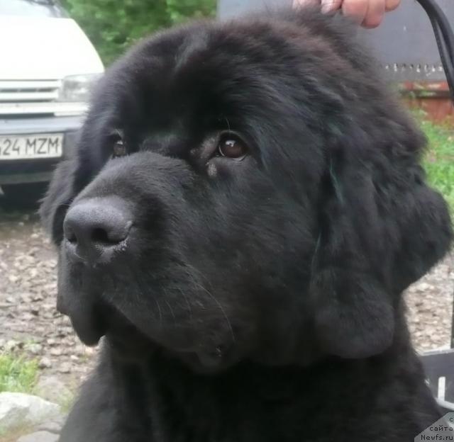 Фотография № 15874