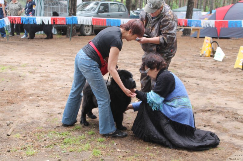 Фотография № 158831