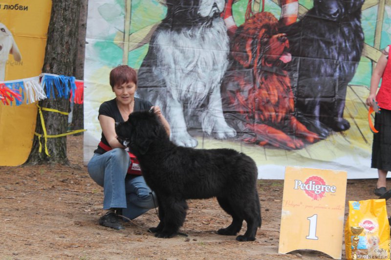 Фотография № 158832