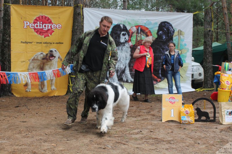 Фотография № 158833