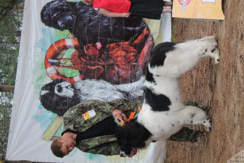 Фотография № 158834