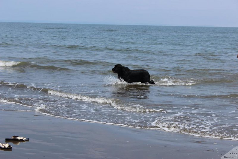 Фотография № 158836