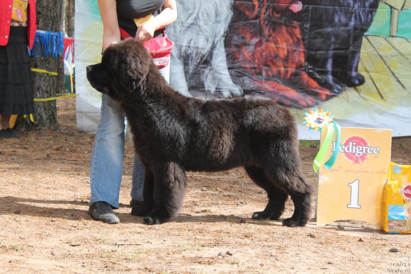 Фотография № 158840