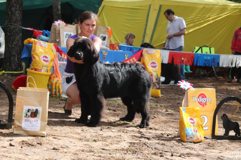 Фотография № 158841