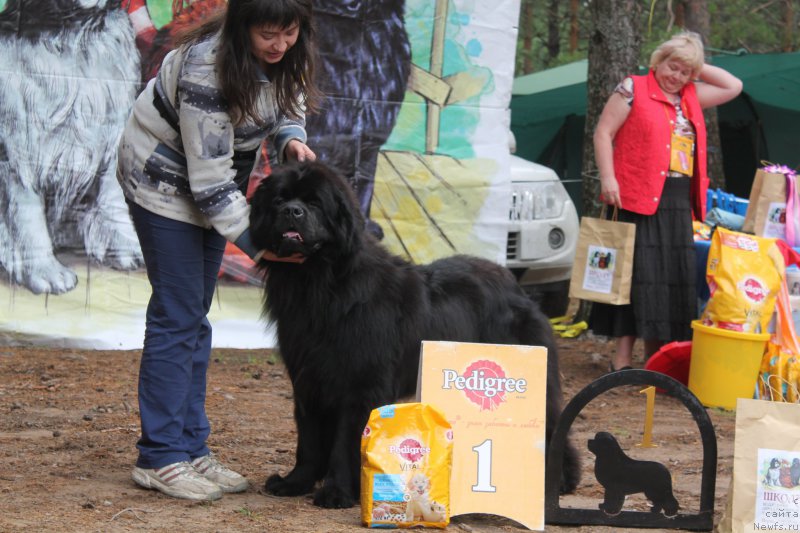 Фотография № 158843