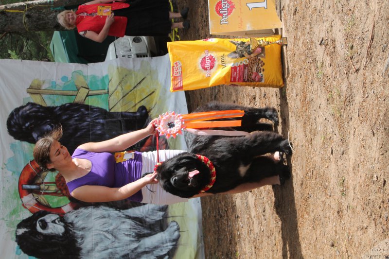 Фотография № 158844