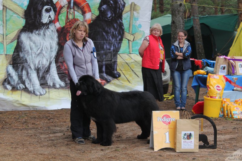 Фотография № 158845