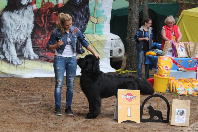 Фотография № 158846