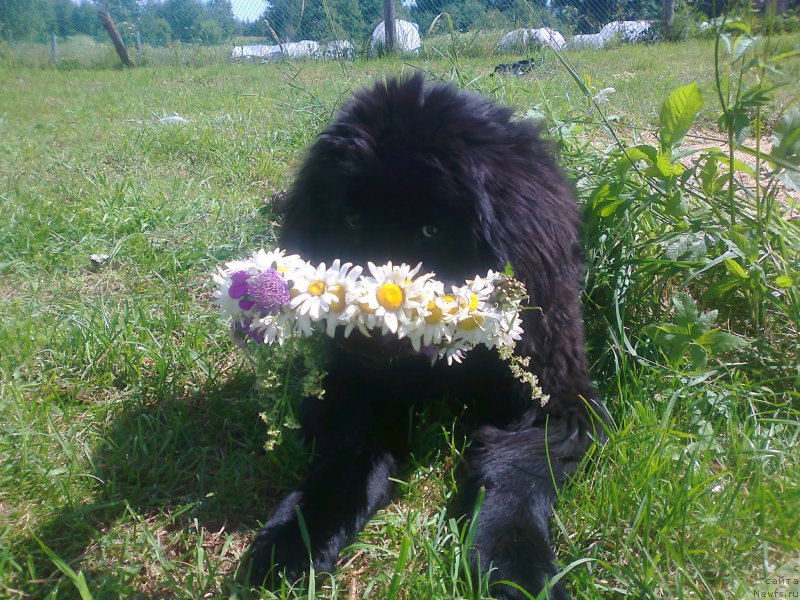 Фотография № 158862