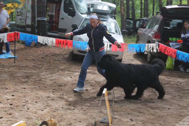 Фотография № 158864