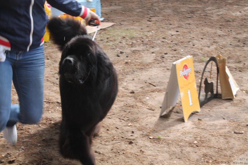 Фотография № 158865