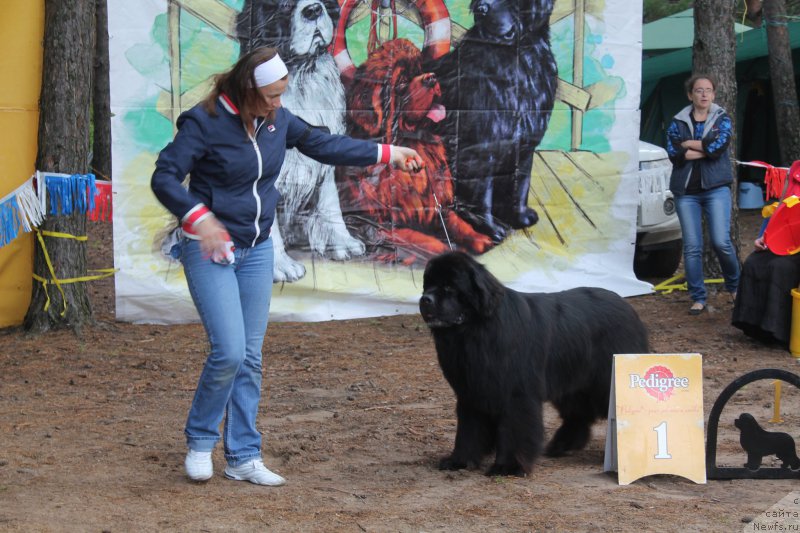 Фотография № 158866