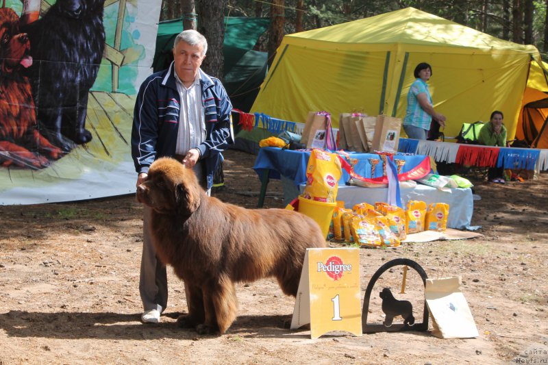 Фотография № 158867