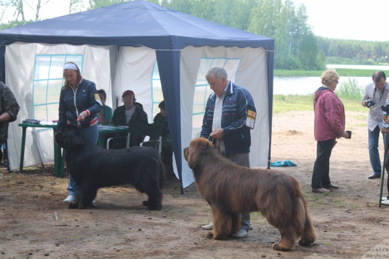 Фотография № 158868