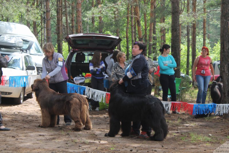 Фотография № 158869