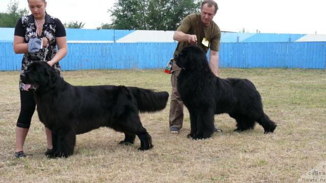 Фотография № 15887