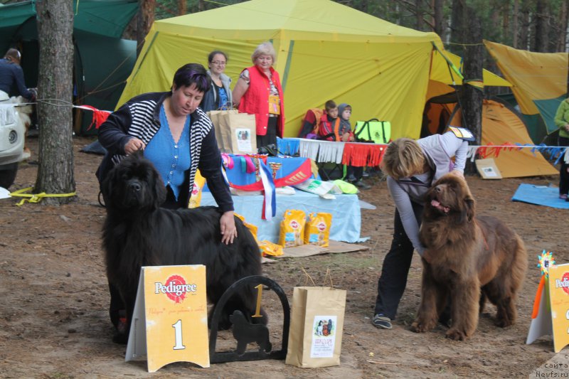 Фотография № 158870