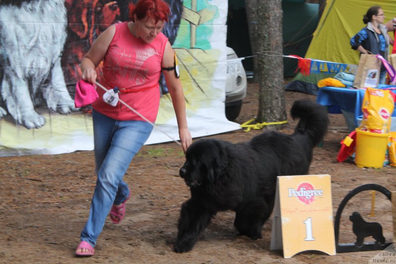 Фотография № 158871