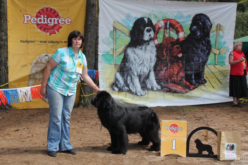 Фотография № 158875