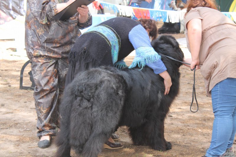 Фотография № 158880