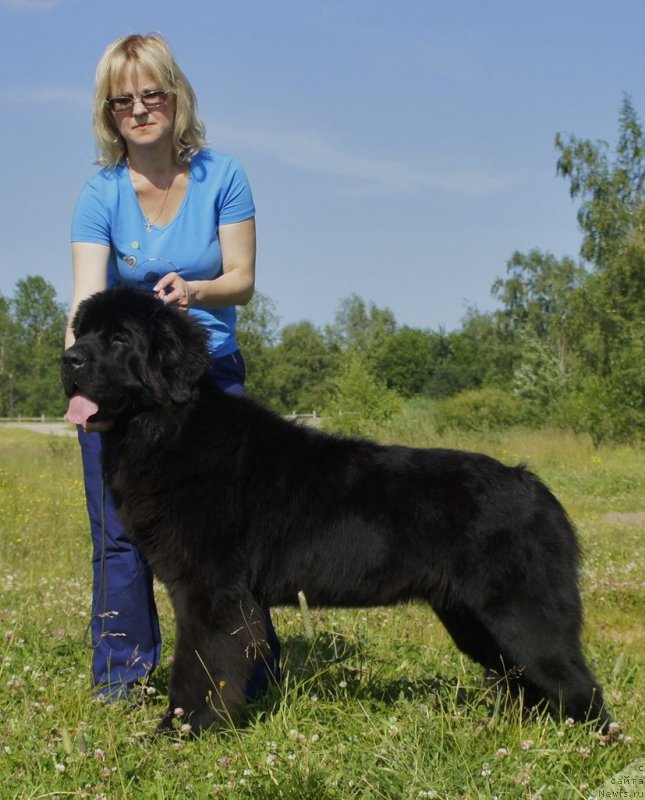 Фотография № 158887