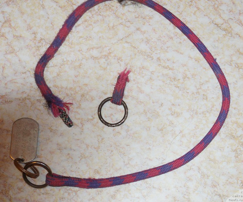 Фотография № 158890