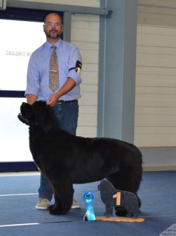 Фотография № 158893