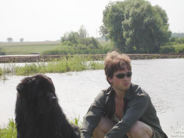 Фото: ньюфаундленд Антей Тревеллеринтайм, Александр Нечваль