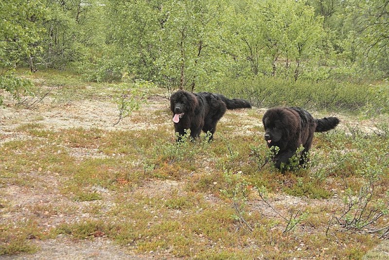 Фотография № 158914