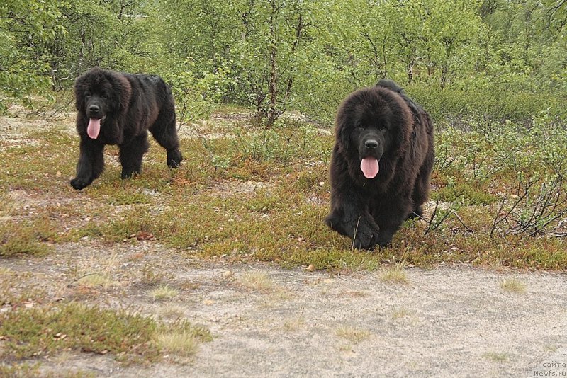 Фотография № 158915