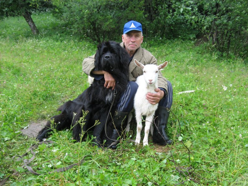 Фотография № 158917