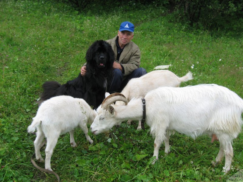 Фотография № 158919