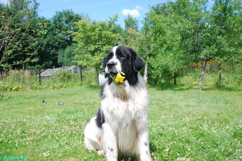 Фотография № 158934