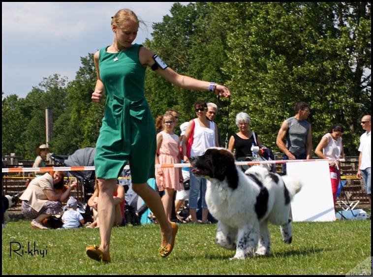 Фотография № 159010