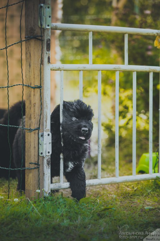 Фотография № 159018