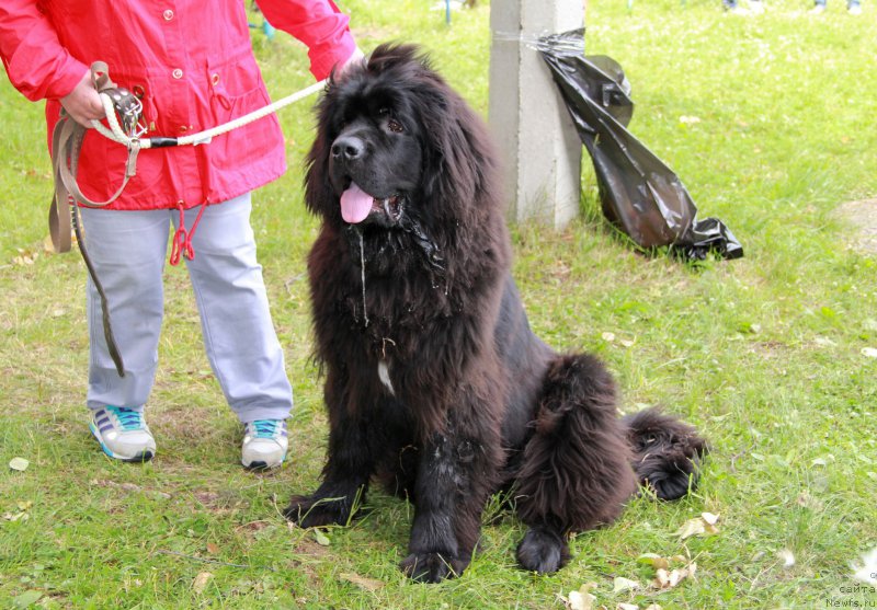 Фотография № 159045