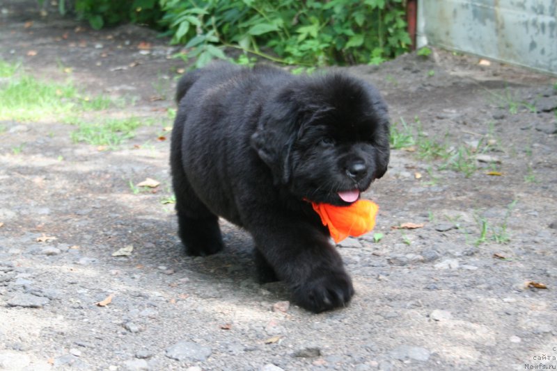 Фотография № 159063