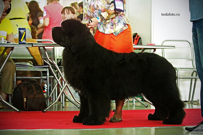 Фотография № 159126