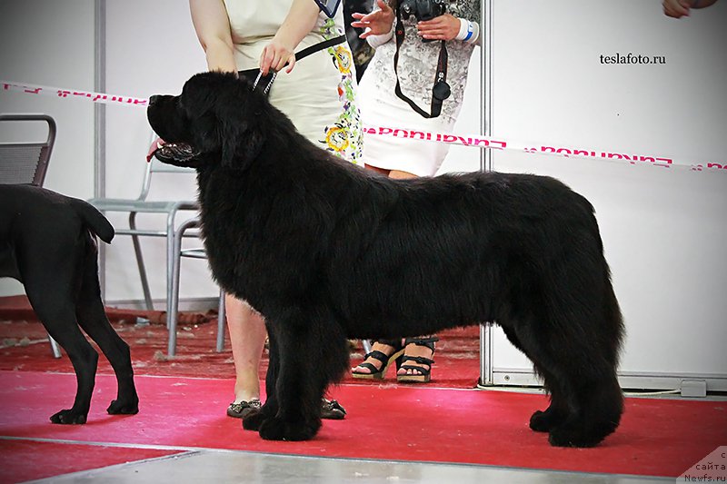 Фотография № 159129