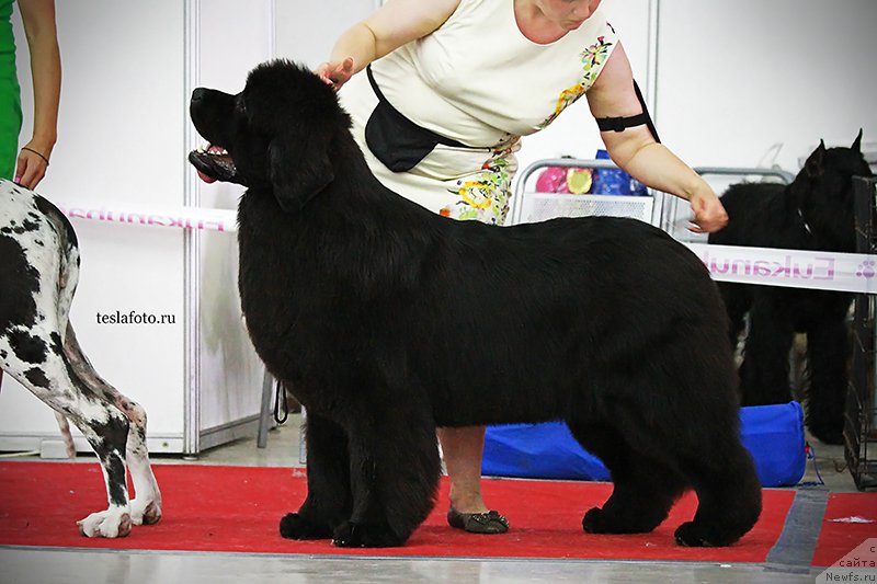 Фотография № 159131