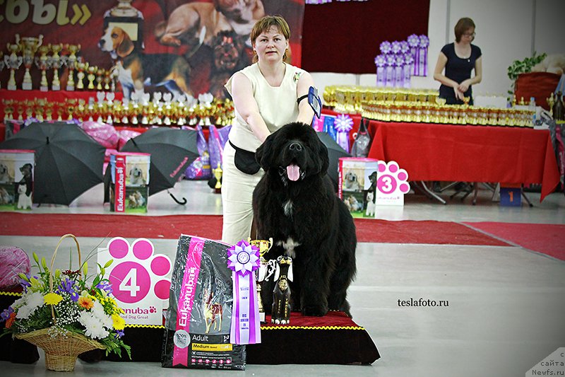 Фотография № 159132