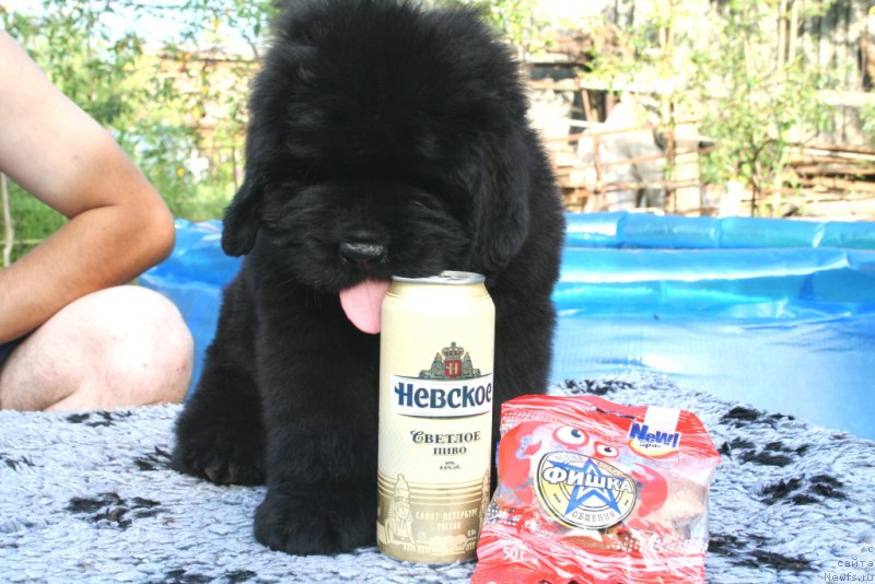 Фотография № 159168