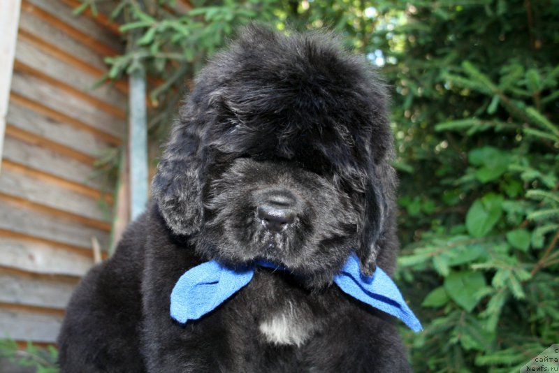 Фотография № 159190