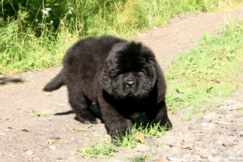 Фотография № 159196