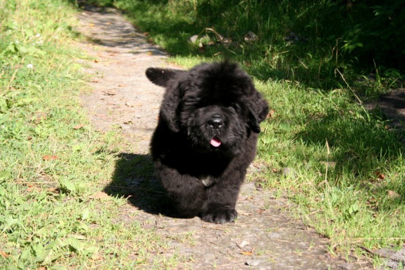 Фотография № 159197