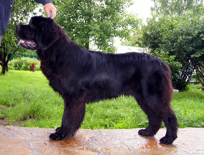 Фотография № 159240