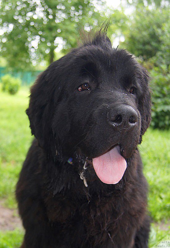 Фотография № 159241